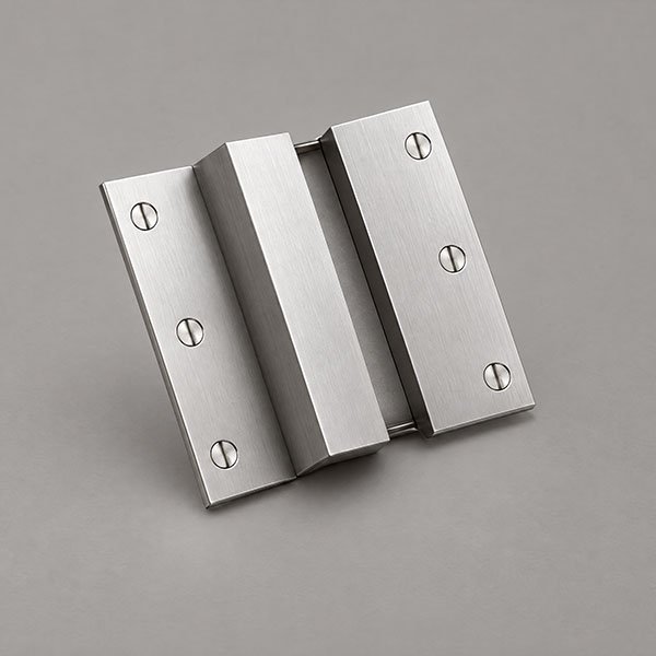 Brass Overlay Hinges